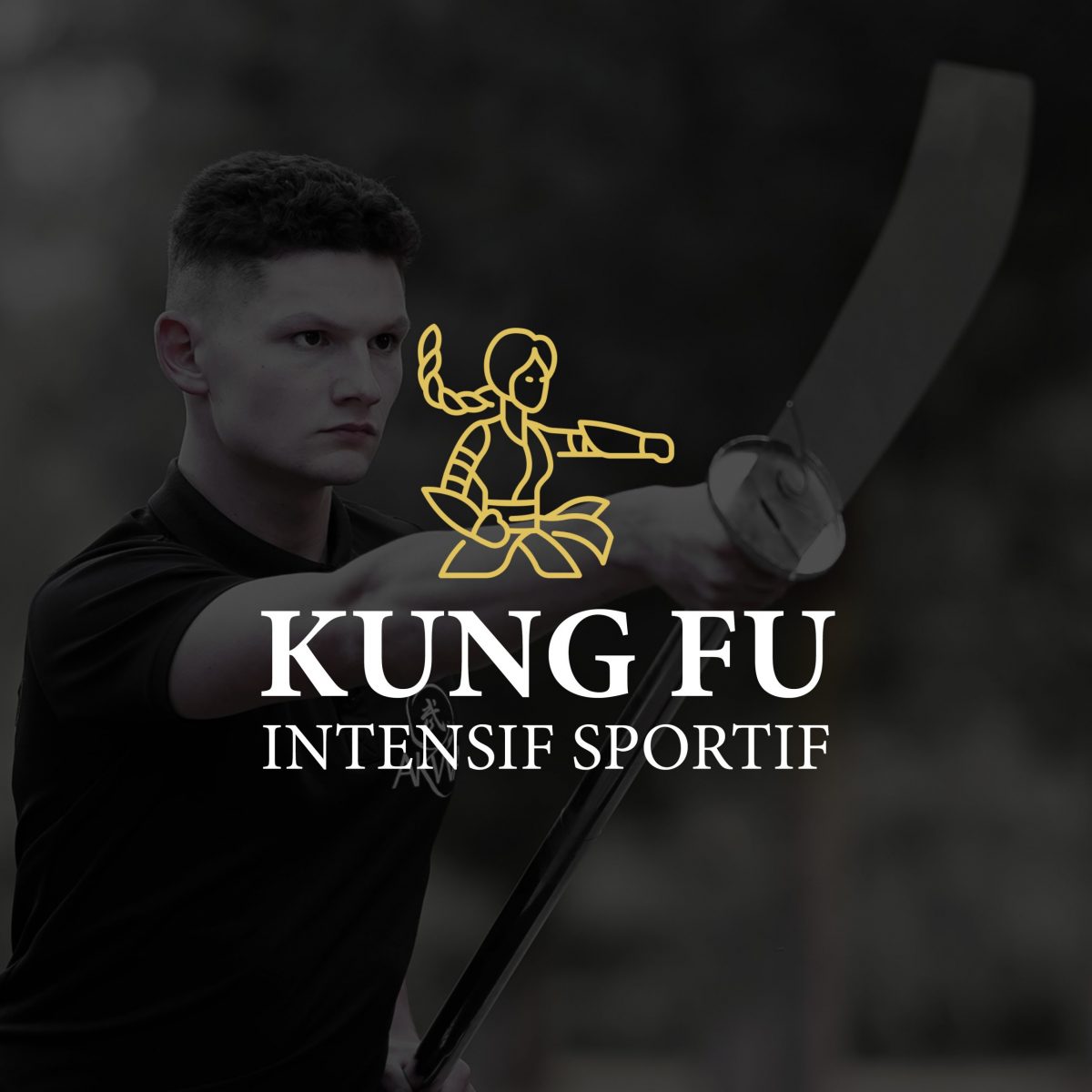 Kung Fu Intensif - Logo