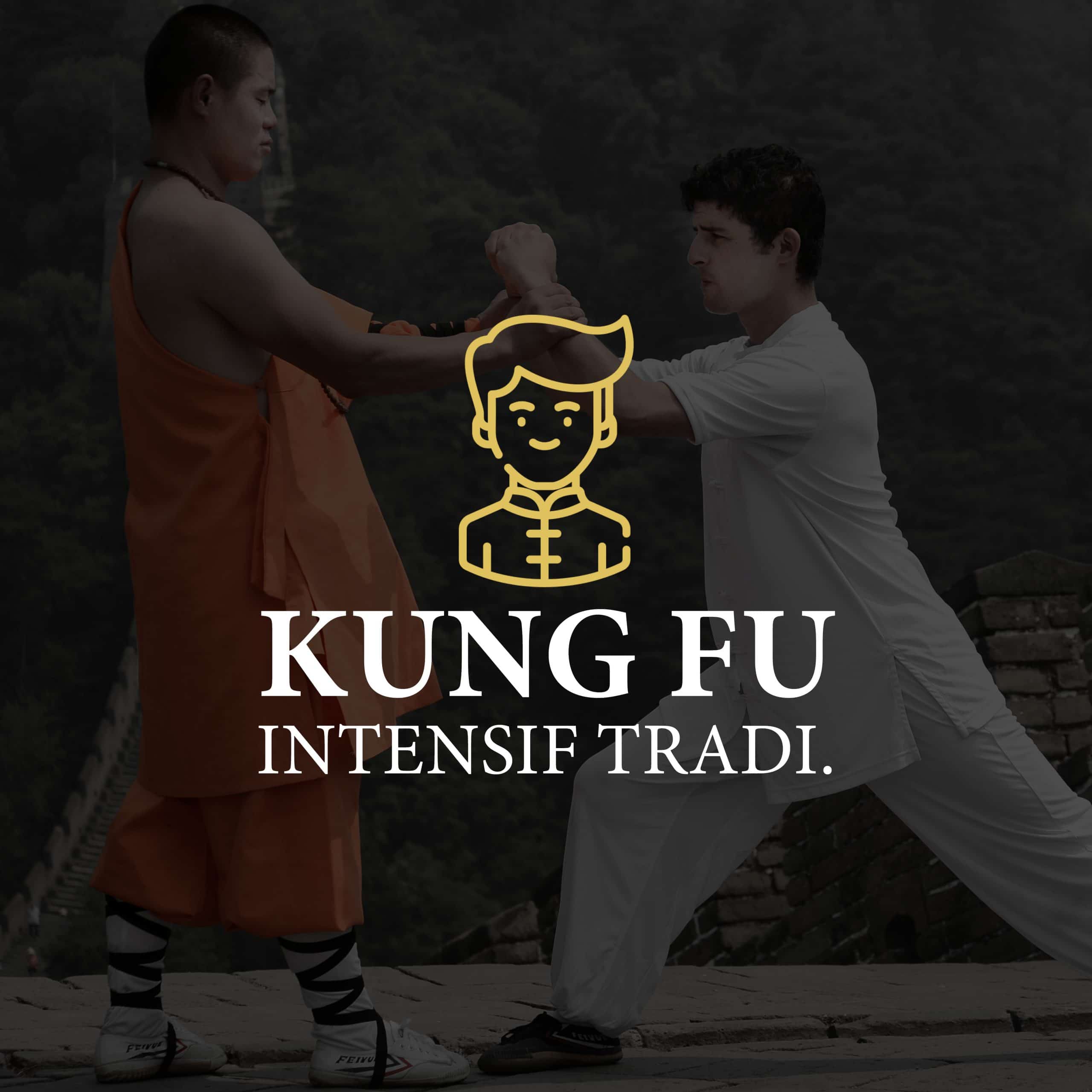 Kung Fu Intensif "traditionnel" - Yim wing-chun