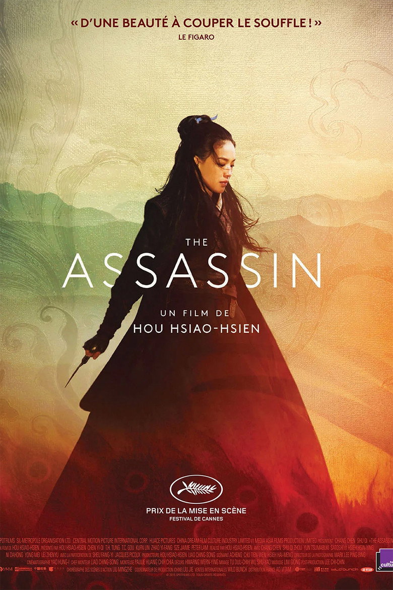 Affiche de The Assassin